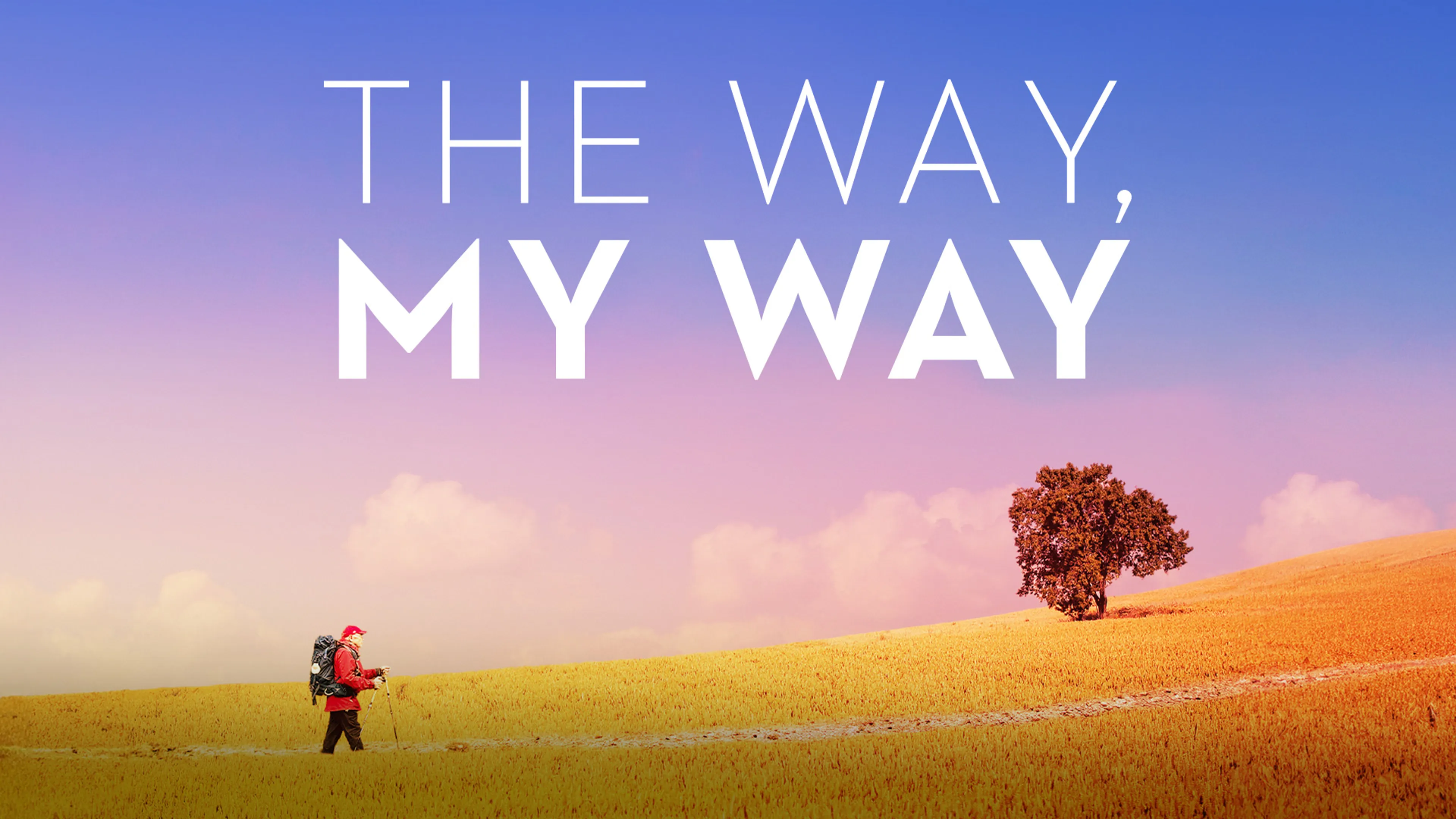 The Way, My Way poster